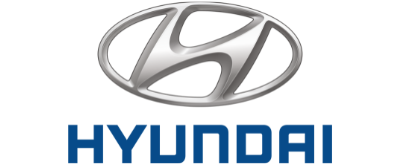 Hyundai Front Driver Side Window Replacement 