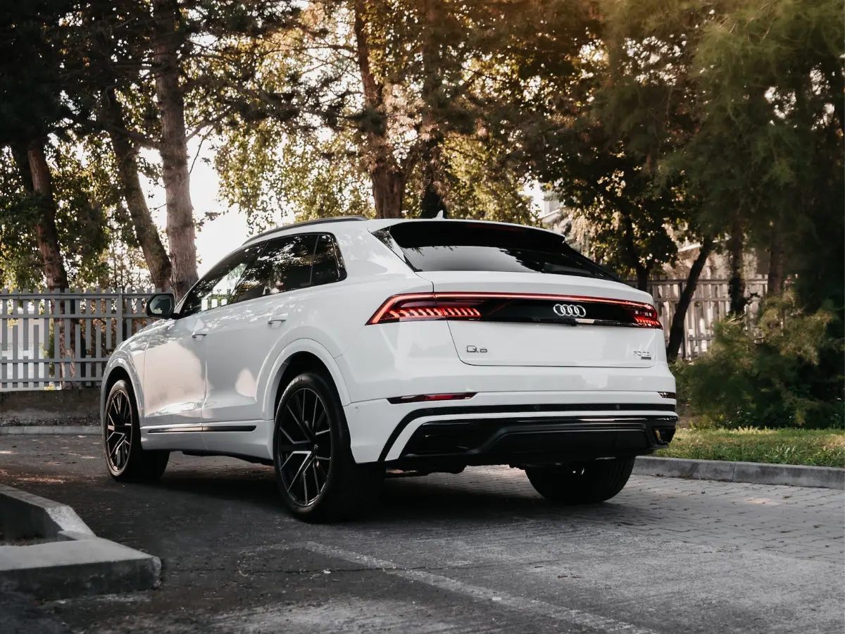 Audi Q8 Rear Driver Side Window Replacement