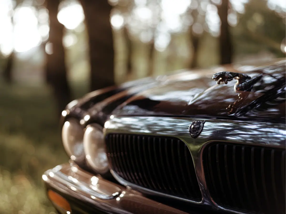 Jaguar car badge