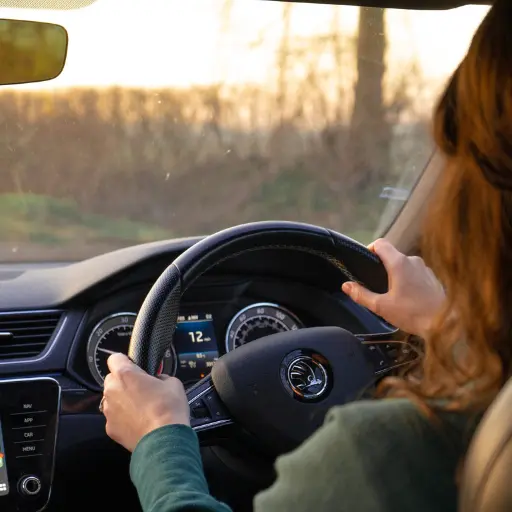 Skoda steering wheel