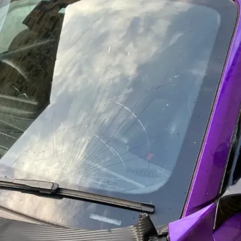 Driver inspecting a windscreen for stone chips